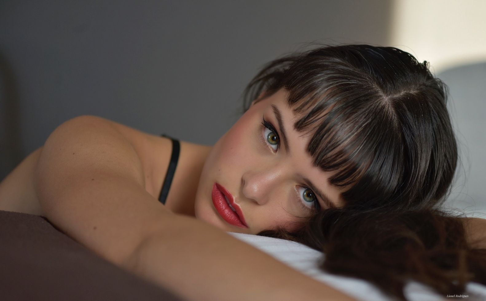 Book Editorial - image n° 28